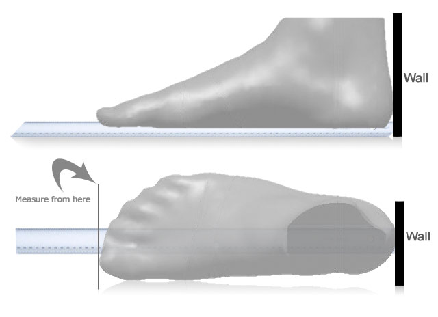 foot measure